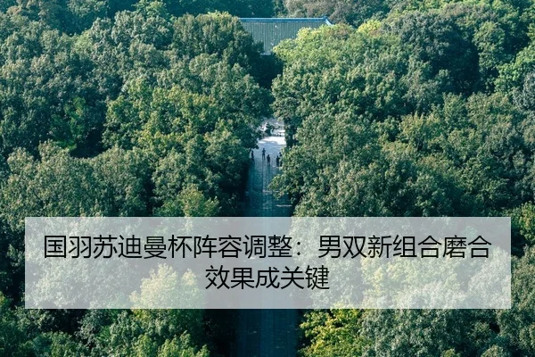 guo-yu-su-di-man-bei-zhen-rong-tiao-zheng-nan-shuang-xin-zu-he-mo-he-xiao-guo-cheng-guan-jian-2-467.jpg