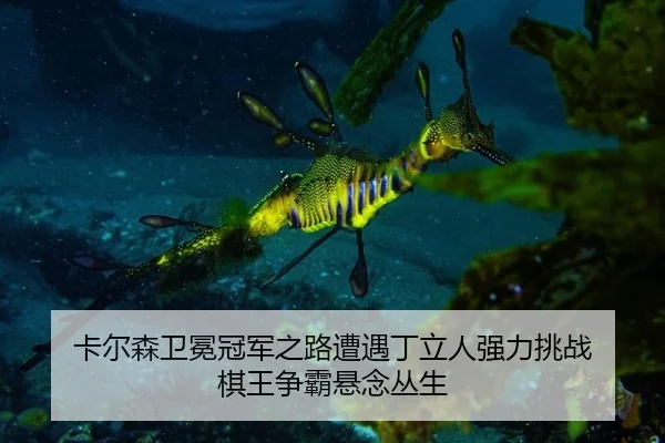 ka-er-sen-wei-mian-guan-jun-zhi-lu-zao-yu-ding-li-ren-qiang-li-tiao-zhan-qi-wang-zheng-ba-xuan-nian-cong-sheng-2-387.jpg