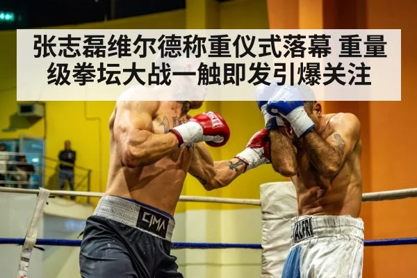 张志磊维尔德称重仪式落幕 重量级拳坛大战一触即发引爆关注